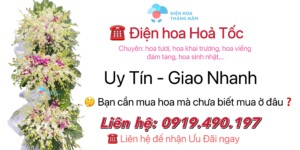 Điện Hoa Long An