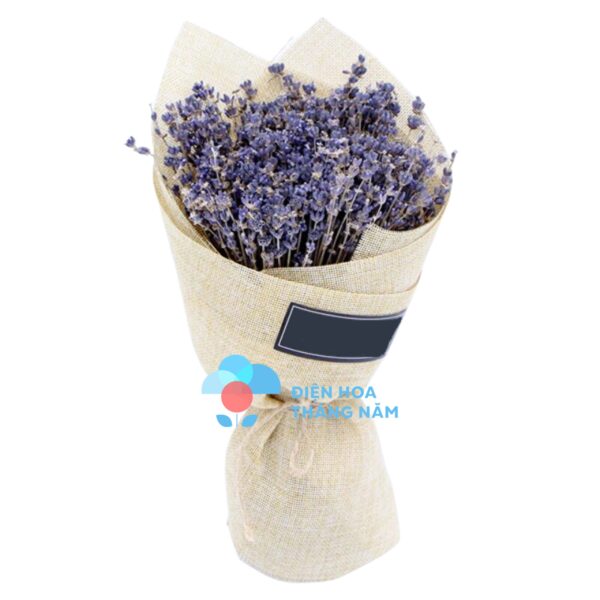 Bó Hoa Lavender (Oải Hương) - BH66