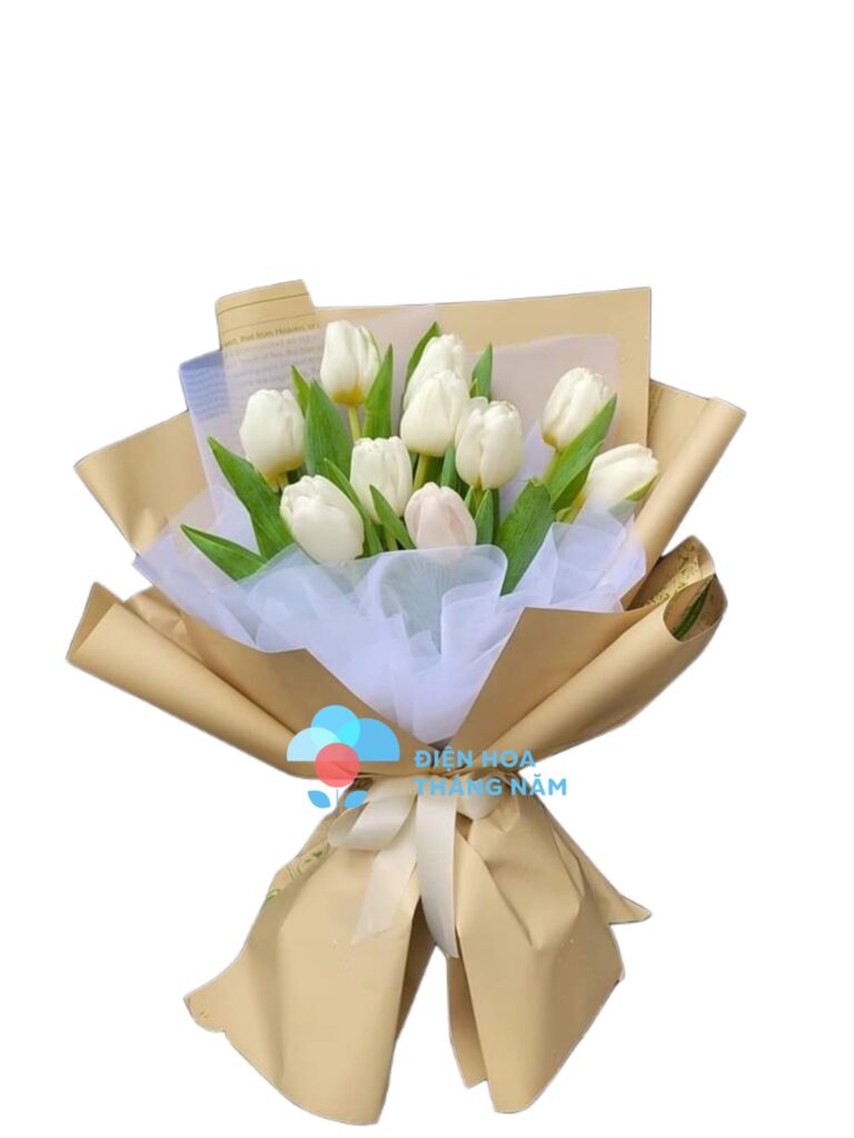 Bó Hoa Tulip Trắng - BH71