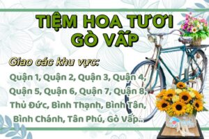 Shop Hoa Tươi Gò Vấp