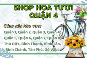 Shop hoa tươi QUẬN 4