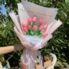 BÓ HOA SÁP TULIP HỒNG - HS52