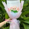 BÓ HOA SÁP TULIP MÀU HỒNG - HS52